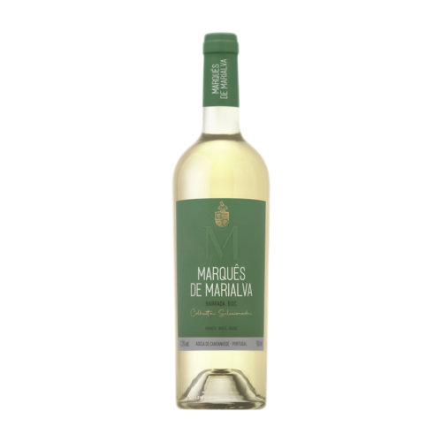 Wine: Marquês de Marialva White Wine