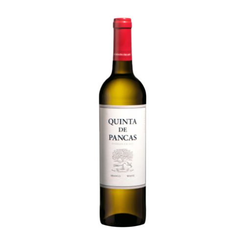 Wine: Quinta de Pancas White