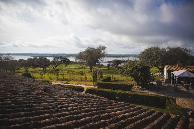 Image of an alentejo vineyards. Alentejo Wines.